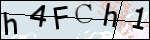 Human Confirmation Code (Captcha)