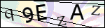 Human Confirmation Code (Captcha)