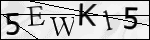 Human Confirmation Code (Captcha)