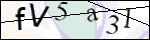 Human Confirmation Code (Captcha)