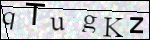 Human Confirmation Code (Captcha)