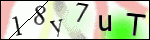 Human Confirmation Code (Captcha)