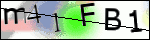 Human Confirmation Code (Captcha)