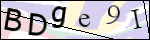 Human Confirmation Code (Captcha)