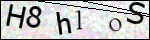 Human Confirmation Code (Captcha)