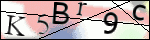 Human Confirmation Code (Captcha)