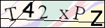 Human Confirmation Code (Captcha)