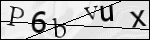 Human Confirmation Code (Captcha)