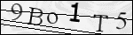 Human Confirmation Code (Captcha)