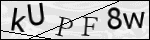Human Confirmation Code (Captcha)
