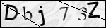 Human Confirmation Code (Captcha)