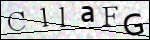 Human Confirmation Code (Captcha)