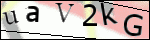Human Confirmation Code (Captcha)