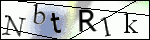 Human Confirmation Code (Captcha)