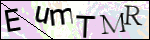 Human Confirmation Code (Captcha)