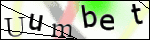 Human Confirmation Code (Captcha)