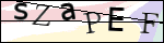 Human Confirmation Code (Captcha)