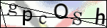 Human Confirmation Code (Captcha)