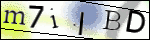Human Confirmation Code (Captcha)