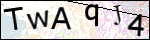 Human Confirmation Code (Captcha)