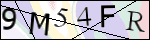 Human Confirmation Code (Captcha)
