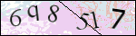 Human Confirmation Code (Captcha)