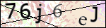 Human Confirmation Code (Captcha)