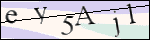 Human Confirmation Code (Captcha)