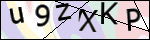 Human Confirmation Code (Captcha)