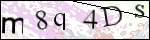 Human Confirmation Code (Captcha)