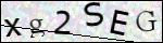 Human Confirmation Code (Captcha)