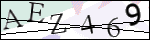 Human Confirmation Code (Captcha)