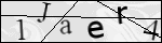 Human Confirmation Code (Captcha)