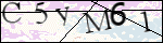 Human Confirmation Code (Captcha)