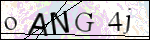 Human Confirmation Code (Captcha)
