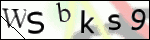 Human Confirmation Code (Captcha)