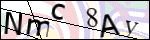 Human Confirmation Code (Captcha)