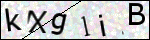 Human Confirmation Code (Captcha)