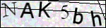 Human Confirmation Code (Captcha)