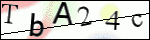 Human Confirmation Code (Captcha)