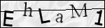 Human Confirmation Code (Captcha)