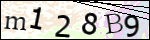 Human Confirmation Code (Captcha)