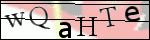 Human Confirmation Code (Captcha)