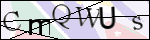 Human Confirmation Code (Captcha)