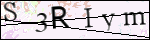 Human Confirmation Code (Captcha)