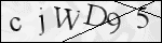 Human Confirmation Code (Captcha)