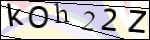Human Confirmation Code (Captcha)