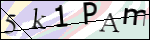 Human Confirmation Code (Captcha)