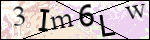 Human Confirmation Code (Captcha)