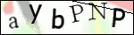 Human Confirmation Code (Captcha)